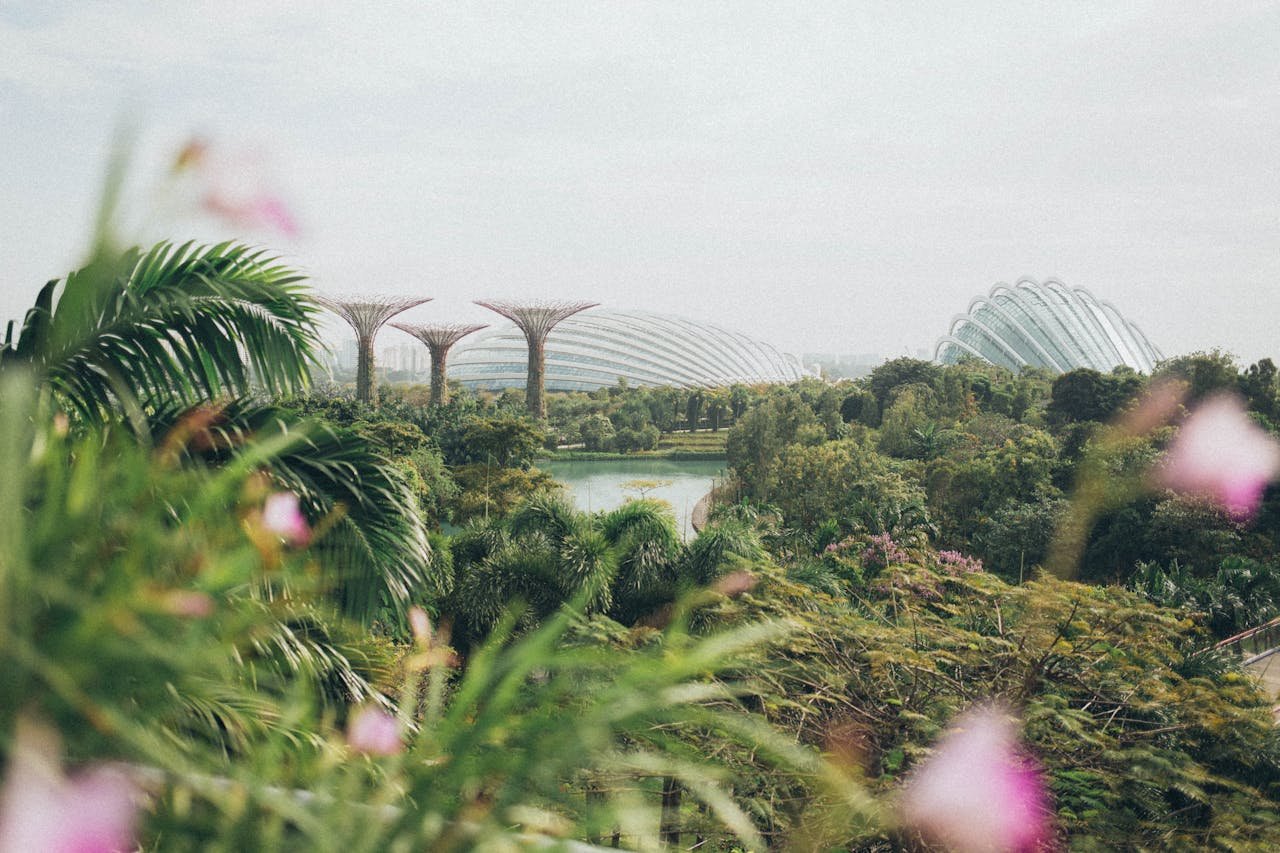 Lush green landscape of Singapore representing commitment to eco-friendly and energy-efficient HVAC solutions.
